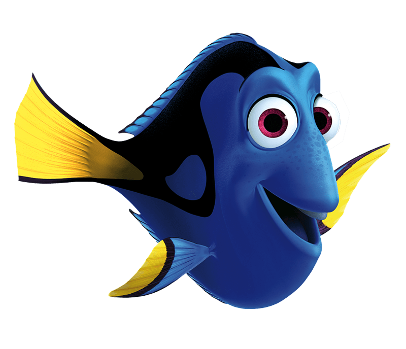 Dory
